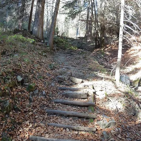 Haus Bergkranz Nocleg ze śniadaniem 3*