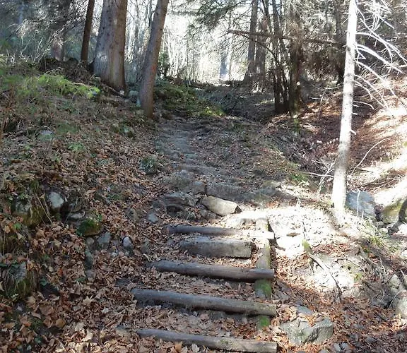 Haus Bergkranz לינה וארוחת בוקר 3*