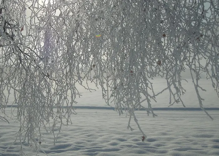 هاوس بيرغكرانز فندق مبيت وإفطار